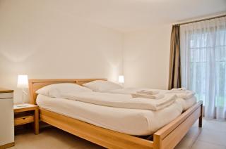 Apartment Delta - GRIWA RENT AG - Grindelwald - 6