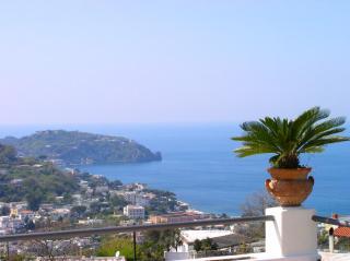 Hotel Ape Regina - Ischia - 5