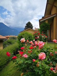 Bellagio Lake View Villa - Oliveto Lario - 8