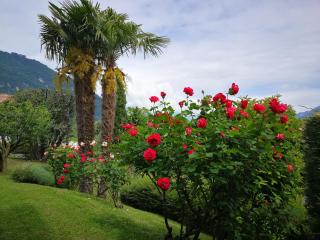 Bellagio Lake View Villa - Oliveto Lario - 5