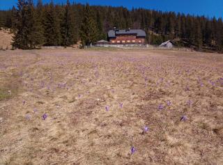 Mountain Lodge Smrekovc - 1