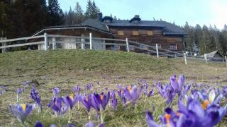 Mountain Lodge Smrekovc - 2