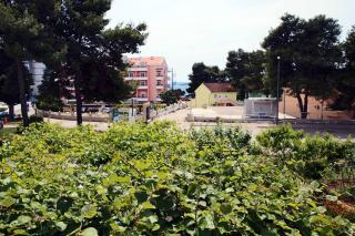 Apartments & Rooms Samohod - Vodice - 9