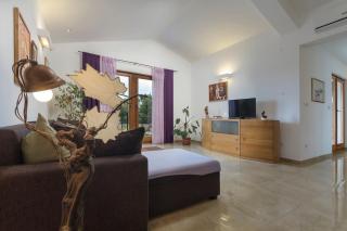 Villa NaNa - modern Villa with a pool surrounded by nature, Istria-Pula - 2