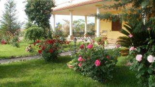 Agriturismo Le Quattro Stagioni - Viterbo - 2