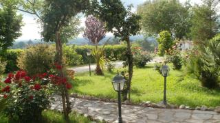 Agriturismo Le Quattro Stagioni - Viterbo - 3
