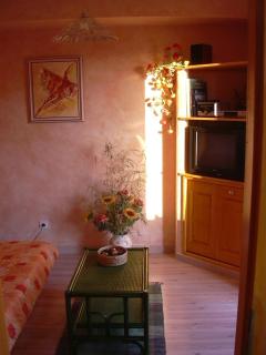 Vignoble - 4