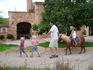 Agroturisme Son Llado - Campos - 8