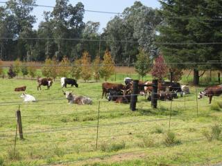 Dunroamin Bed and Breakfast - Mooirivier - 8