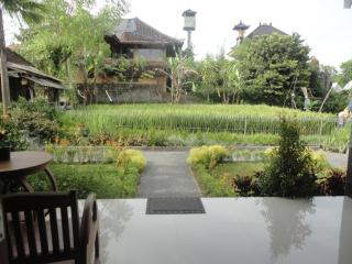 Darra Ria Villa Ubud - Ubud - 1