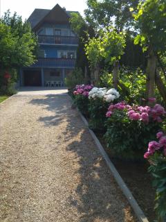 Szőlőskert Apartman - Cserszegtomaj - 8