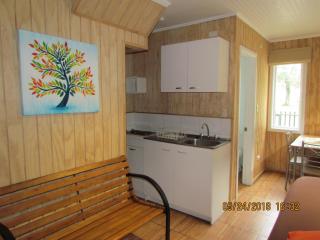 Cabañas Entre Parques - Osorno - 2