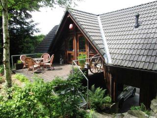 Ferienhaus im Grünen - NEU mit E-Auto Ladesäule - Morsbach - 1
