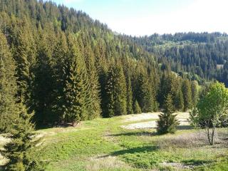 Hotel Restaurant Les Rosieres - Manigod - 3