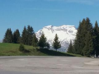 Hotel Restaurant Les Rosieres - Manigod - 2