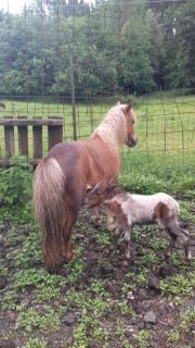 Bed & Breakfast Varionda - 9