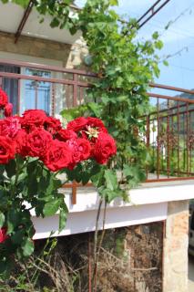 Apartmani Ivanković - Vrisnik - 8