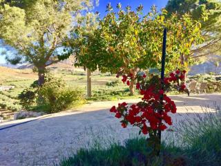 Agriturismo Casebianche - Montallegro - 1