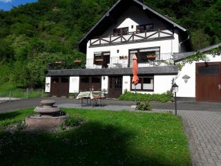 Ferienhaus Jobelius - Beilstein - 0
