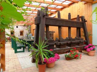Pension Unstrutpromenade - Freyburg - 0