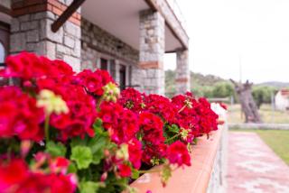 Villa Theano - Toroni - 7