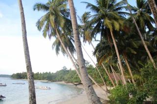 Nyang Ebay Surf Camp Siberut - Masokut - 3
