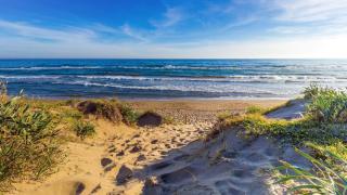 White Pearl Beach - Elviria Playa - Marbella - 5