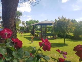 Camere Carloni - Assisi - 5