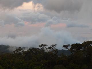 Casitas Jeruti - Monteverde - 9