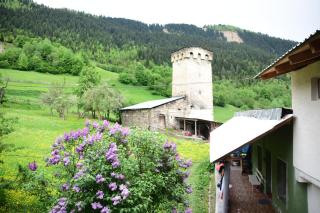 Maia's Guesthouse - Chvabiani - 4