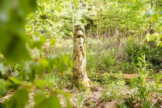 Larkhill Tipis and Yurts - Carmarthen - 3