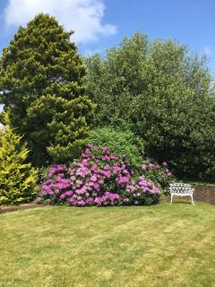 Oak Tree Cottage, Charming, Rural New Forest Home - Boldre - 3