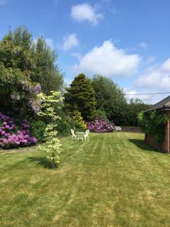 Oak Tree Cottage, Charming, Rural New Forest Home - Boldre - 1