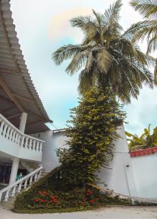 Hotel Boquilla Suites By GEH Suites - Cartagena de Indias - 6