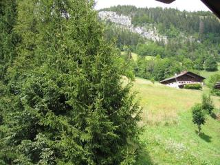 Studio Bel'Alp - Le Grand-Bornand - 3