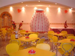 Hajdú Kastély Hotel - Hajdúszoboszló - 5