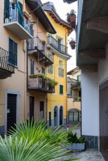 Fiore rosso - Stresa - 1