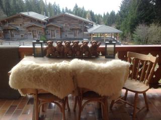 Petit Ours - Villars-sur-Ollon - 8