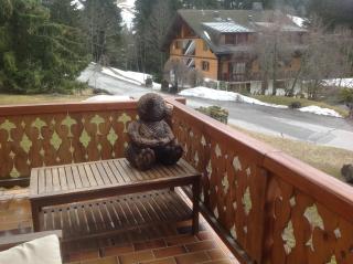 Petit Ours - Villars-sur-Ollon - 4