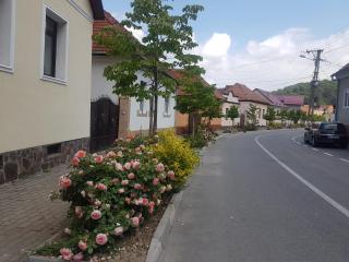 Apartament Teilor - Rîşnov - 2
