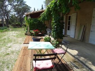 La Coudoulière - Saint-Rémy-de-Provence - 8