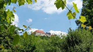 Pension Unstrutpromenade - Freyburg - 1