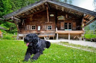 Pension Greti - Schönau am Königssee - 6