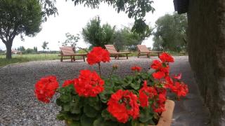 Magica Torre Medievale - 8