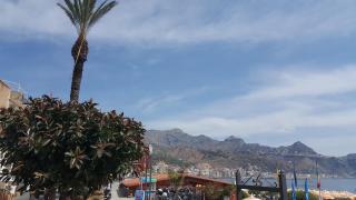 Casa Sileno Beach - 8