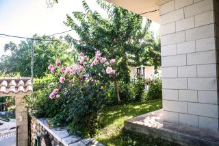 Villa Ilias - Pinakokhórion - 9
