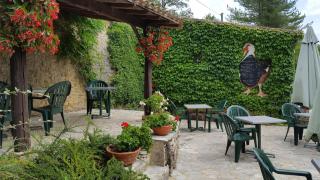 Auberge Lou Peyrol - Montferrand-du-Périgord - 9
