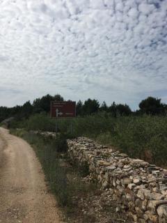 Elena Apartments - Milna - 1