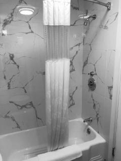 Berkshire Inn - Pittsfield - 1