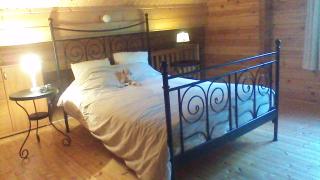 Chalet Alppimaja - Vesin - 1